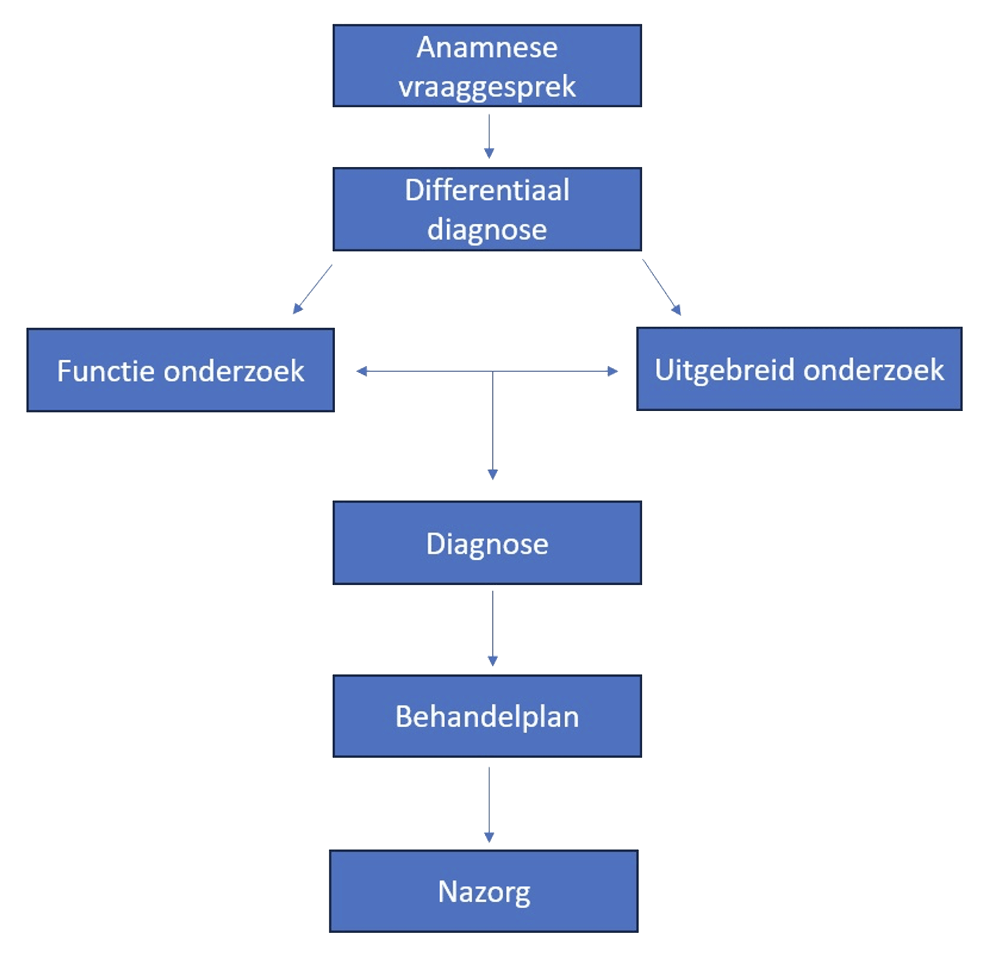 Schematische weergave van de werkwijze van Podozorg